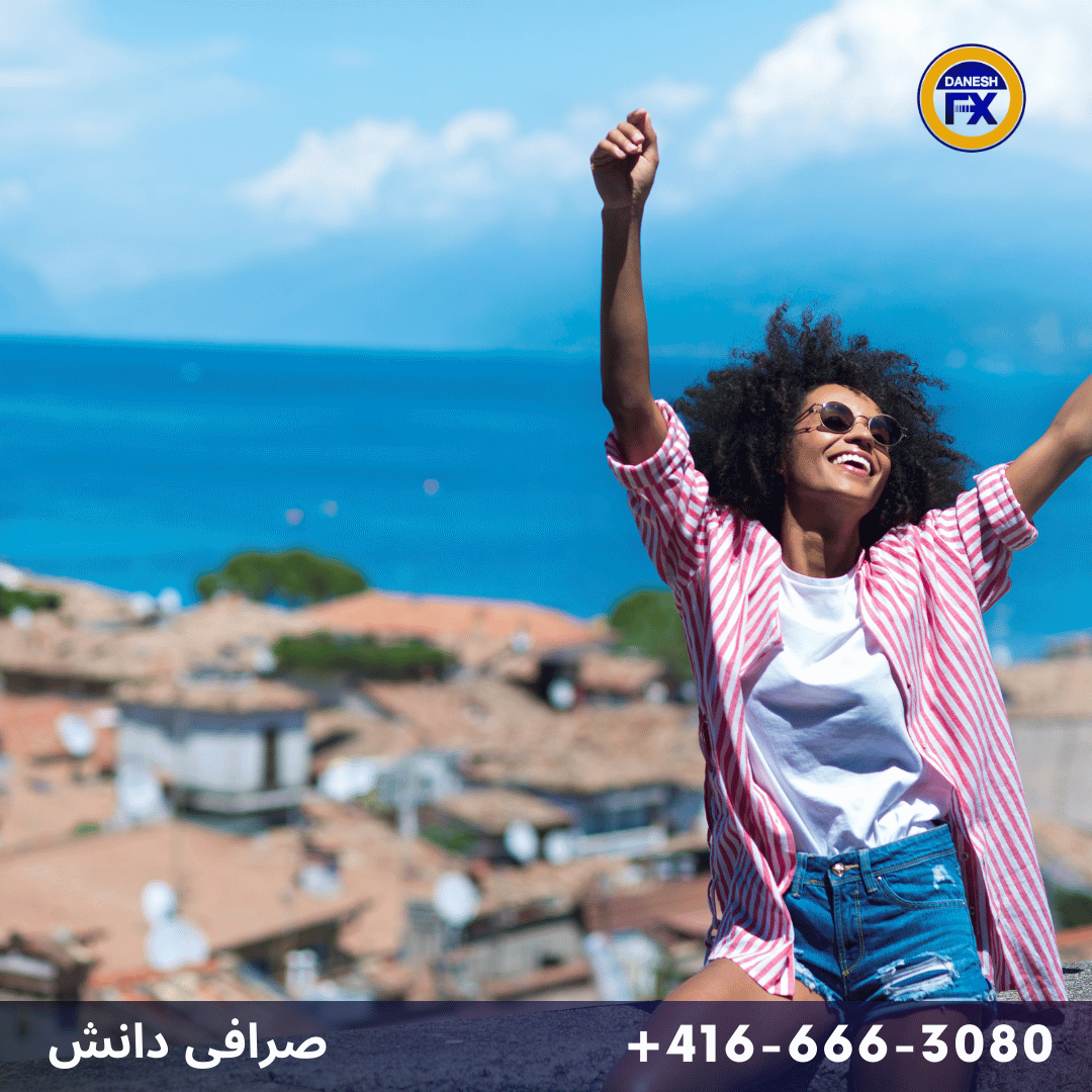 مسافر جهت انتقال ارز